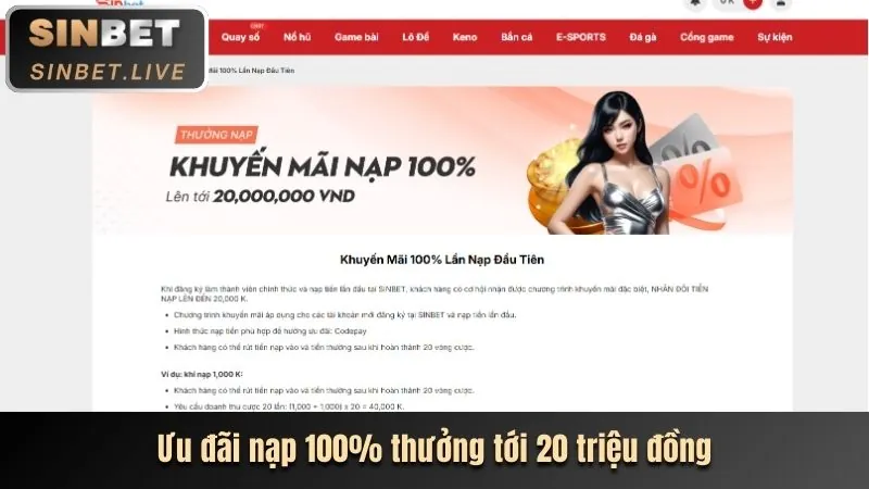 Thưởng chào mừng thành viên mới 78 wine